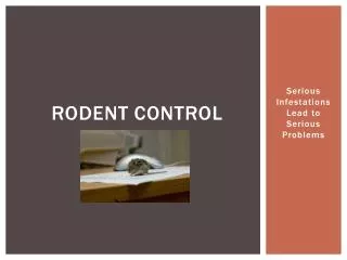rodent control: serious infestations lead to serious problem