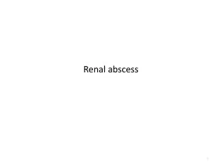 Renal abscess