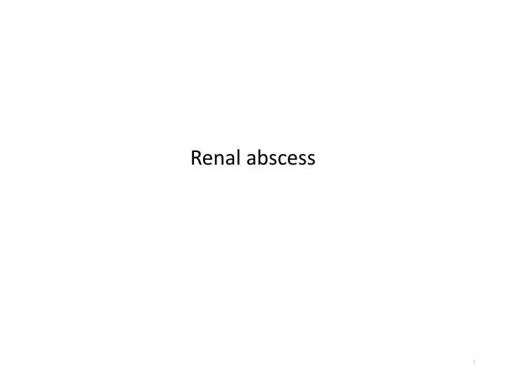 renal abscess