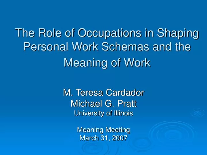 the role of occupations in shaping personal work schemas and the meaning of work