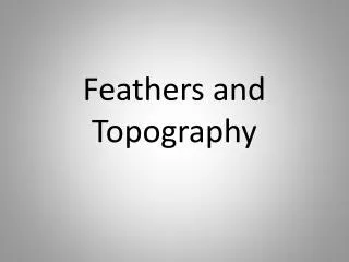 Feathers and Topography