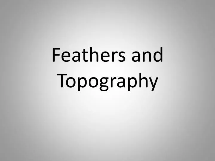 feathers and topography