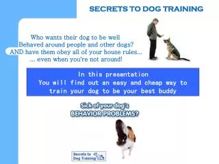 Secrets to dog training