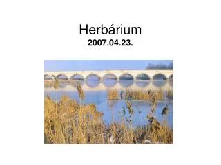 herb rium 2007 04 23
