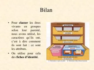 bilan