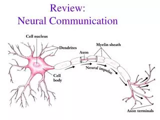 Review: Neural Communication