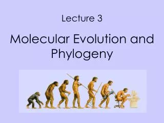 Lecture 3 Molecular Evolution and Phylogeny