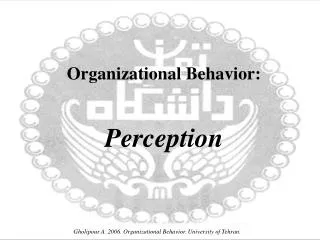 Organizational Behavior: Perception