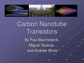 Carbon Nanotube Transistors