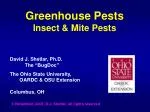 Greenhouse Pests Insect &amp; Mite Pests