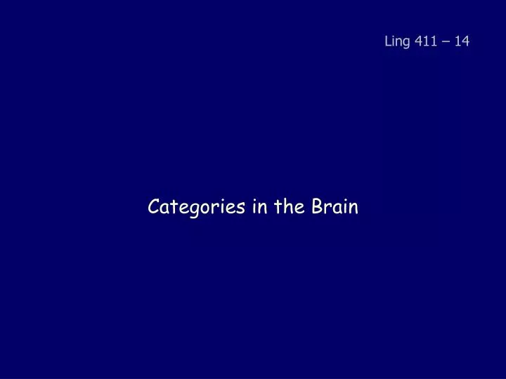 categories in the brain