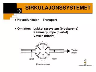 sirkulajonssystemet