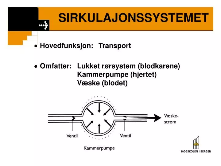sirkulajonssystemet