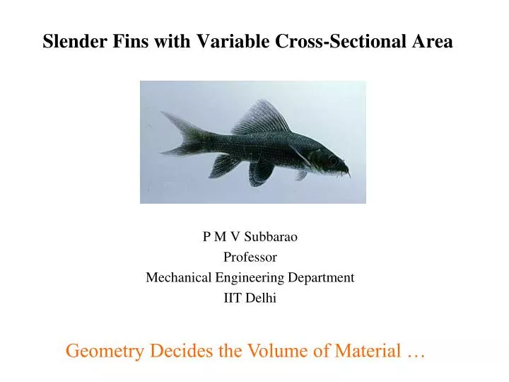 slender fins with variable cross sectional area