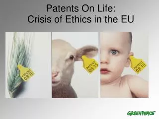 Patents On Life: Crisis of Ethics in the EU