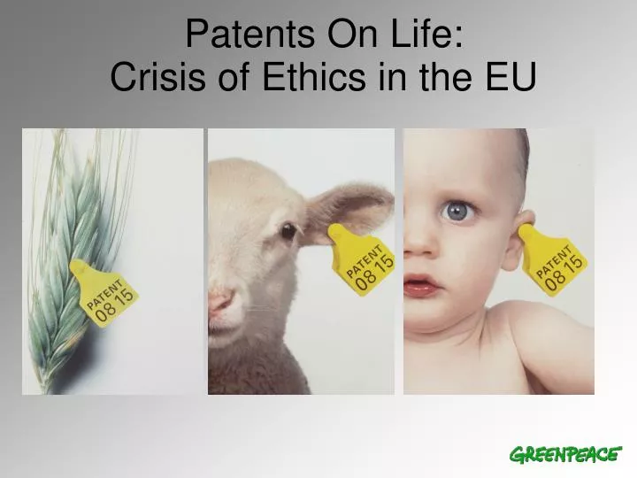 patents on life crisis of ethics in the eu
