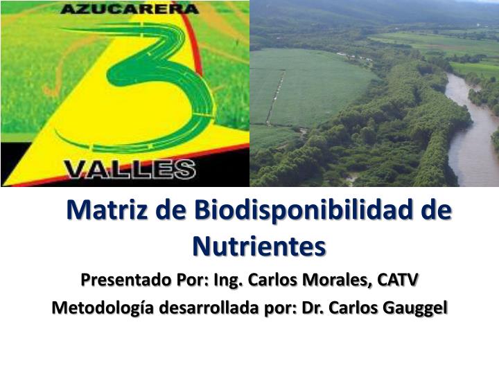 matriz de biodisponibilidad de nutrientes