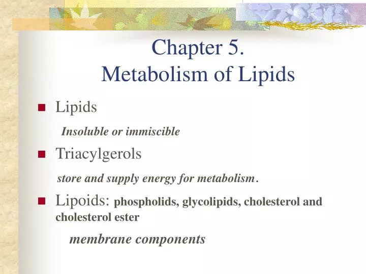 chapter 5 metabolism of lipids