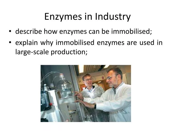 enzymes in industry