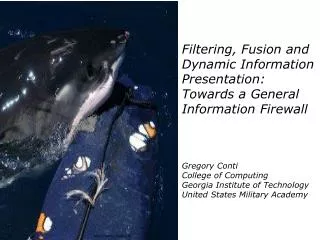 Filtering, Fusion and Dynamic Information Presentation: Towards a General Information Firewall