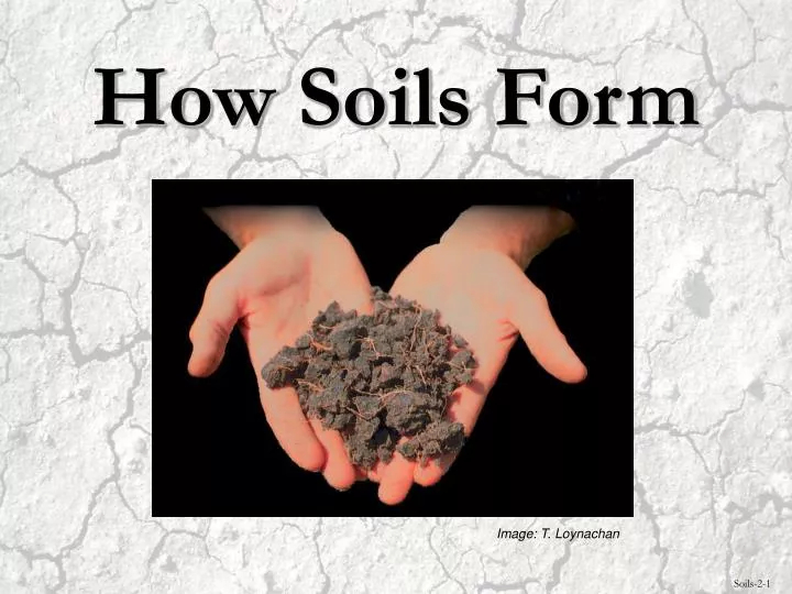 how soils form