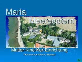 meeresstern