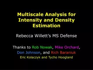 Multiscale Analysis for Intensity and Density Estimation