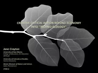 Creative Critical Action beyond Economy into &quot; Techno-Ecology&quot;