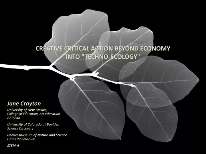 creative critical action beyond economy into techno ecology