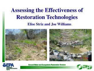 Ground Water and Ecosystems Restoration Division