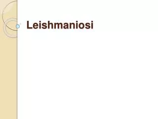 leishmaniosi