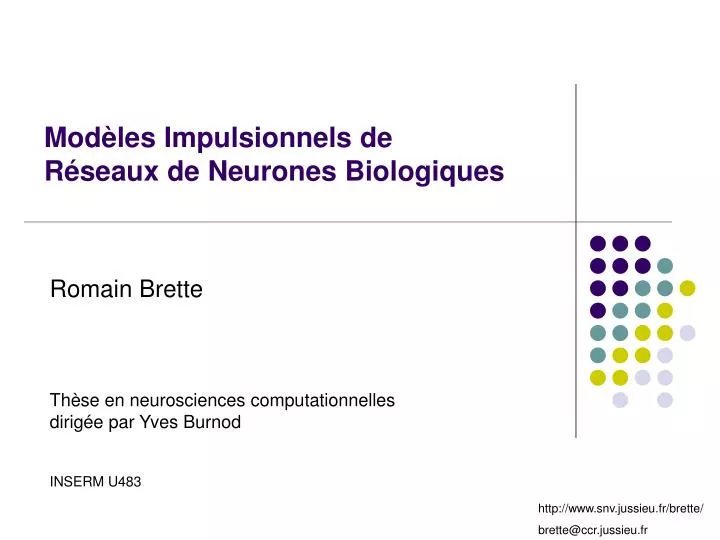 mod les impulsionnels de r seaux de neurones biologiques