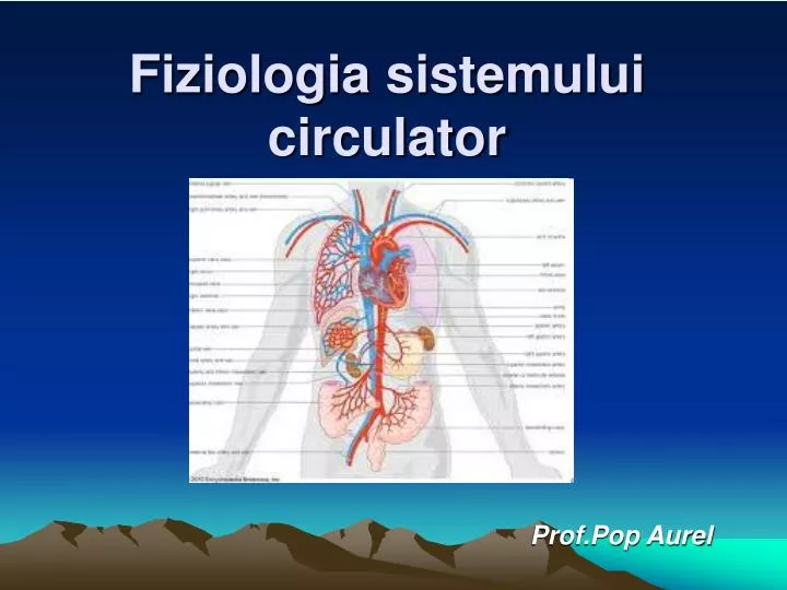 fiziologia sistemului circulator