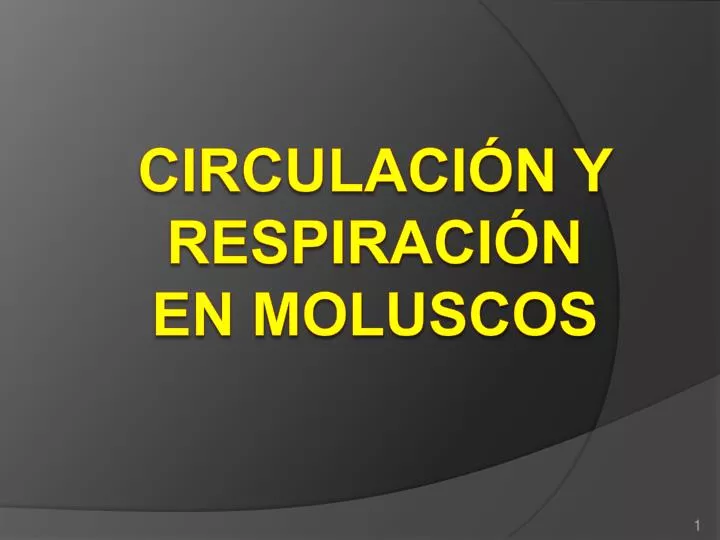 circulaci n y respiraci n en moluscos