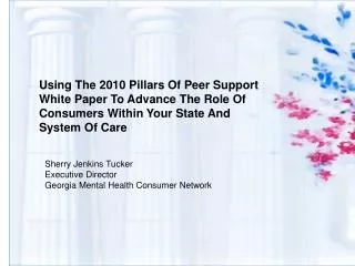 Using The 2010 Pillars Of Peer Support White Paper To Advance The Role Of Consumers Within Your State And System Of Care