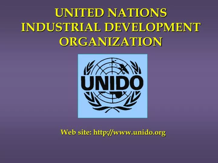 PPT - UNITED NATIONS INDUSTRIAL DEVELOPMENT ORGANIZATION PowerPoint ...