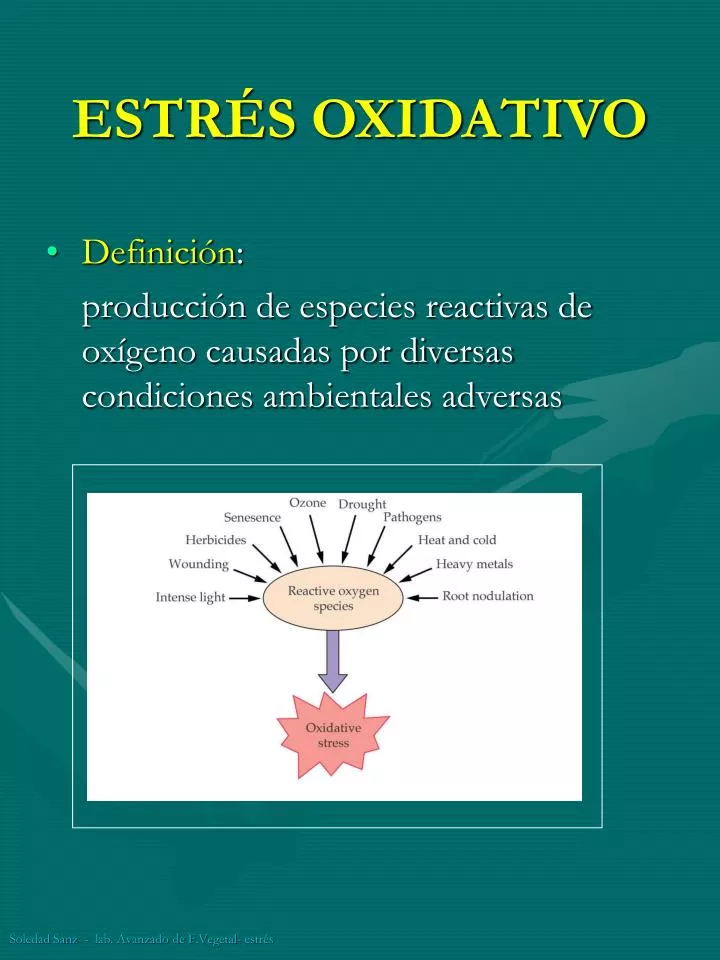 estr s oxidativo