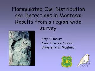 Flammulated Owl Distribution and Detections in Montana: Results from a region-wide survey