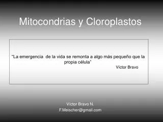 mitocondrias y cloroplastos