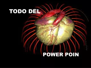 todo del