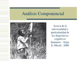 an lisis componencial