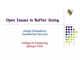 Open Issues in Buffer Sizing