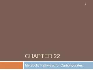 chapter 22
