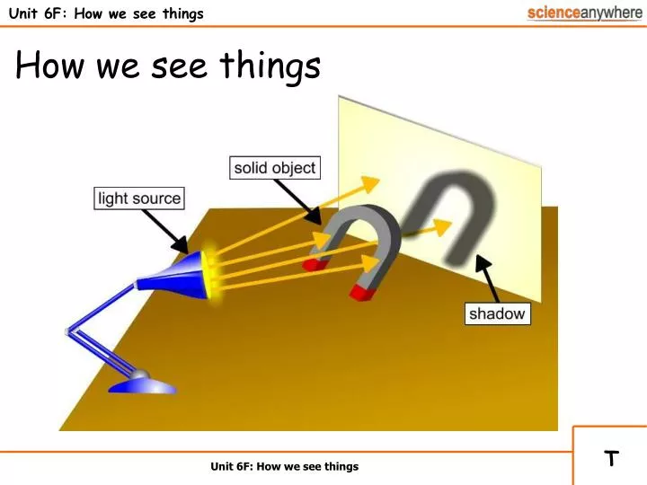 unit 6f how we see things