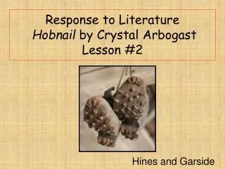 Response to Literature Hobnail by Crystal Arbogast Lesson #2
