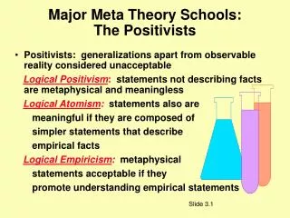 Major Meta Theory Schools: The Positivists