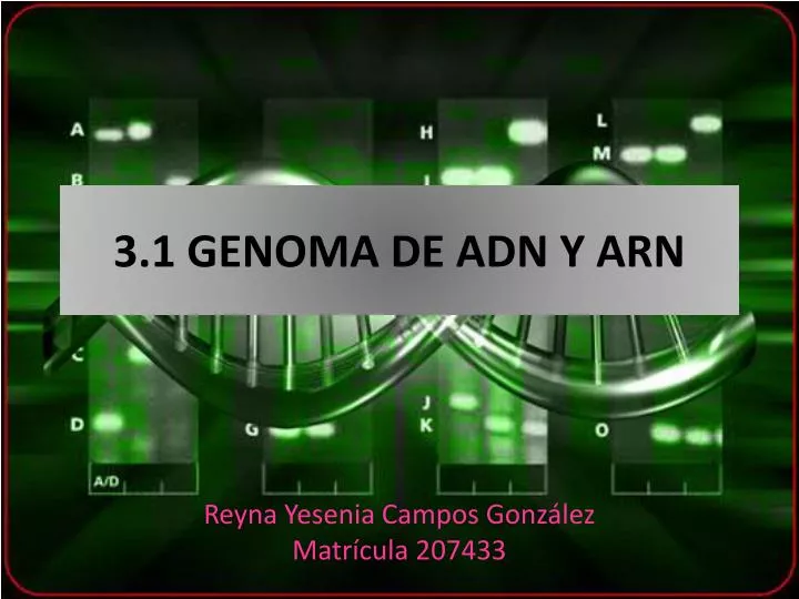 3 1 genoma de adn y arn