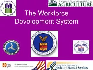 The Workforce Development System
