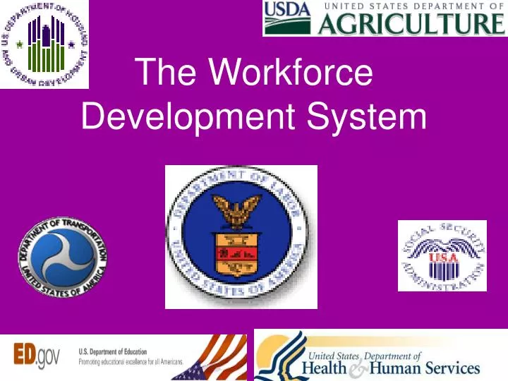 the workforce development system