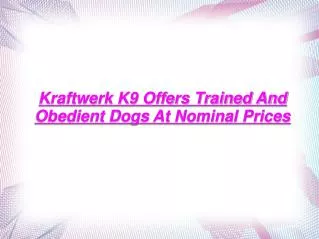 Kraftwerk K9 Offers Trained And Obedient Dogs At Nominal Pri